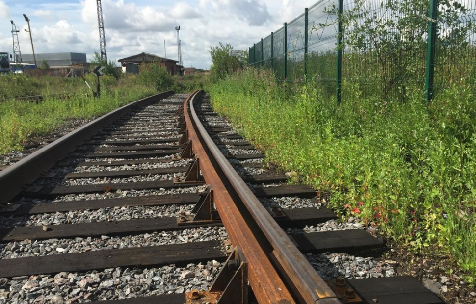 Темир жолду Бишкектин сыртына чыгаруунун 2 жолу айтылды